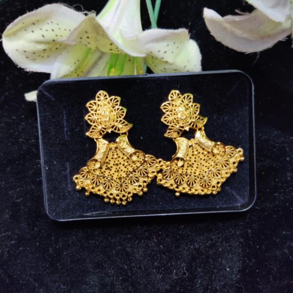 Latest Forming Color Earring For Women